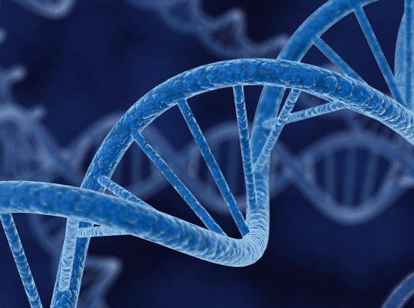 3D-Darstellung einer stilisierten, blauen DNA-Doppelhelix auf blauem Hintergrund mit mehreren unscharfen DNA-Strängen im Hintergrund.